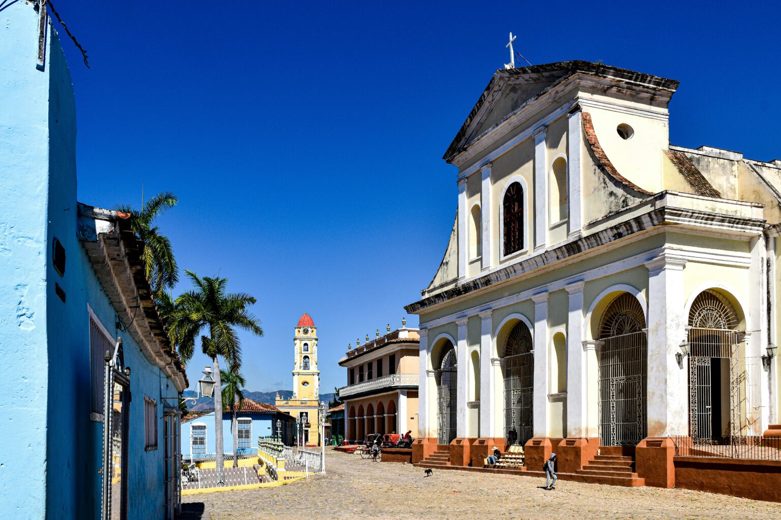 Portuguese Past Participle Rules and Examples With Daily Verbs